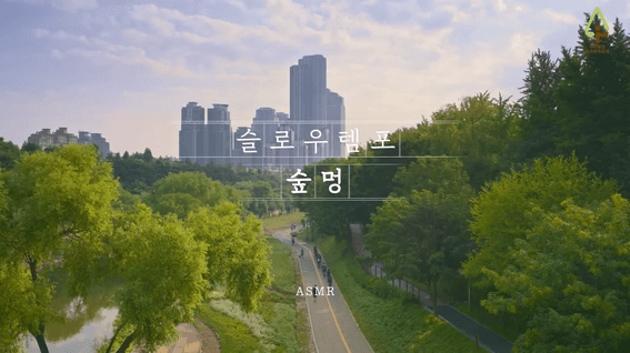 두둠 포트폴리오 - 유한킴벌리 숲멍, 짧숲 ASMR 콘텐츠 영상