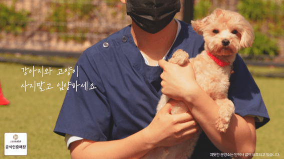 두둠 포트폴리오 - 따뜻한분양소 반려견 분양소 홍보 영상