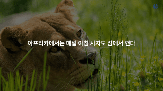 두둠 포트폴리오 - 충청청년스타트업협동조합 동기부여 영상 | 스타트업, 왜 열심히 해야 하는가