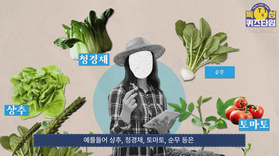 두둠 포트폴리오 - 국가연구소 과학정보채널 모션그래픽 콘텐츠 영상