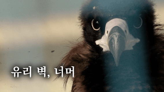 두둠 포트폴리오 - 경기시청자미디어센터 환경 기획 다큐멘터리 영상 | 5cm