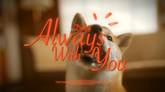 두둠 포트폴리오 - 닥터독 애견 브랜드 필름 | Always with you