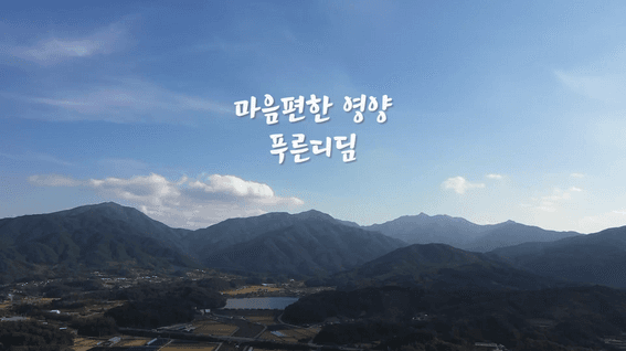 두둠 포트폴리오 - 푸른디딤 유기농식품 제조기업 인터뷰 홍보 영상