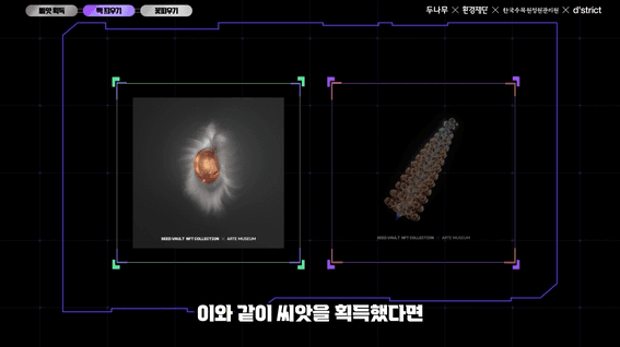 두둠 포트폴리오 - 환경재단ㅣ시드볼트 NFT 컬렉션 영상 제작