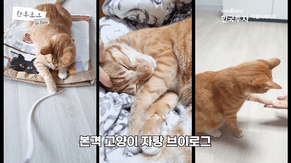 두둠 포트폴리오 - 한국투자액셀러레이터ㅣ직장인 브이로그 - 사업운영실 편