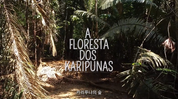 두둠 포트폴리오 - [생명다양성재단X이동시] 카리푸나의 숲 생명다양성 모니터링 프로젝트 영상