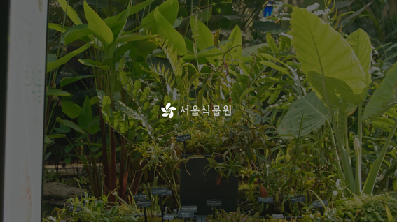 두둠 포트폴리오 - [서울식물원] 전시 홍보 영상 | 식물기록_여름방학